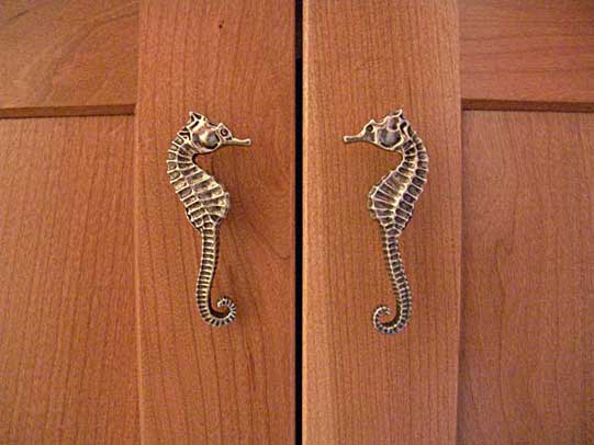 Brass door pulls