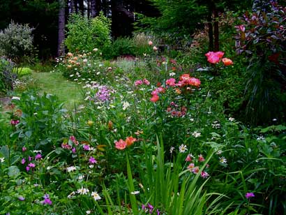 Mendocino Garden