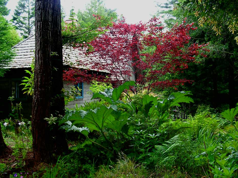 Drama with leaves